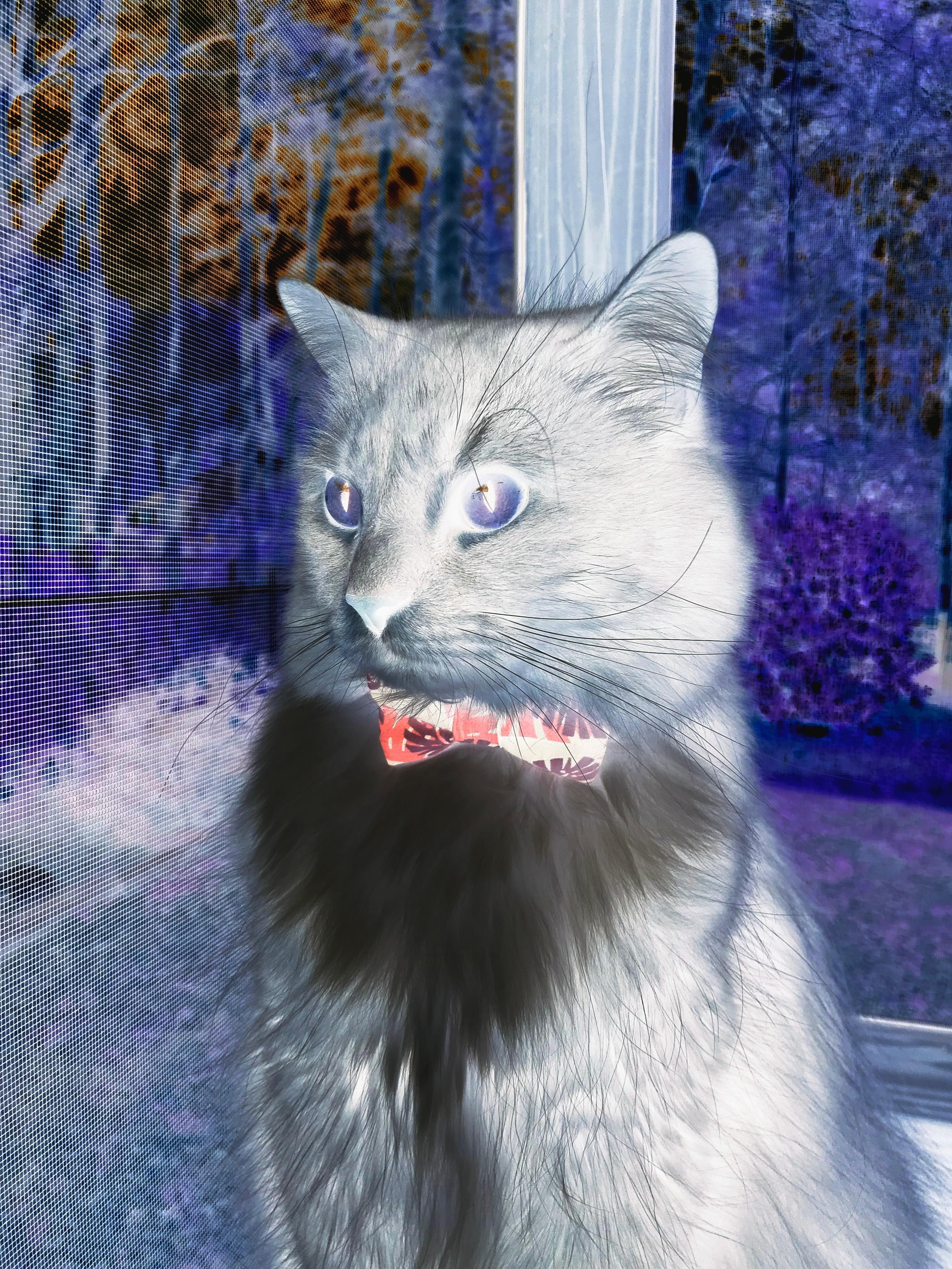 随机重庆两江竞技宣布解散,球员自由转会,重庆两江竞技转会人员