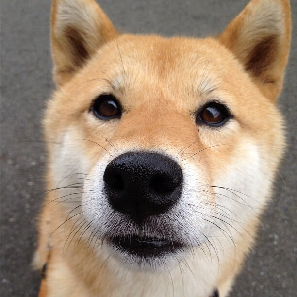 九游娱乐(jiuyou)官方网站-杜兰特 批评从未让我动摇信念，如何评价杜兰特的一生