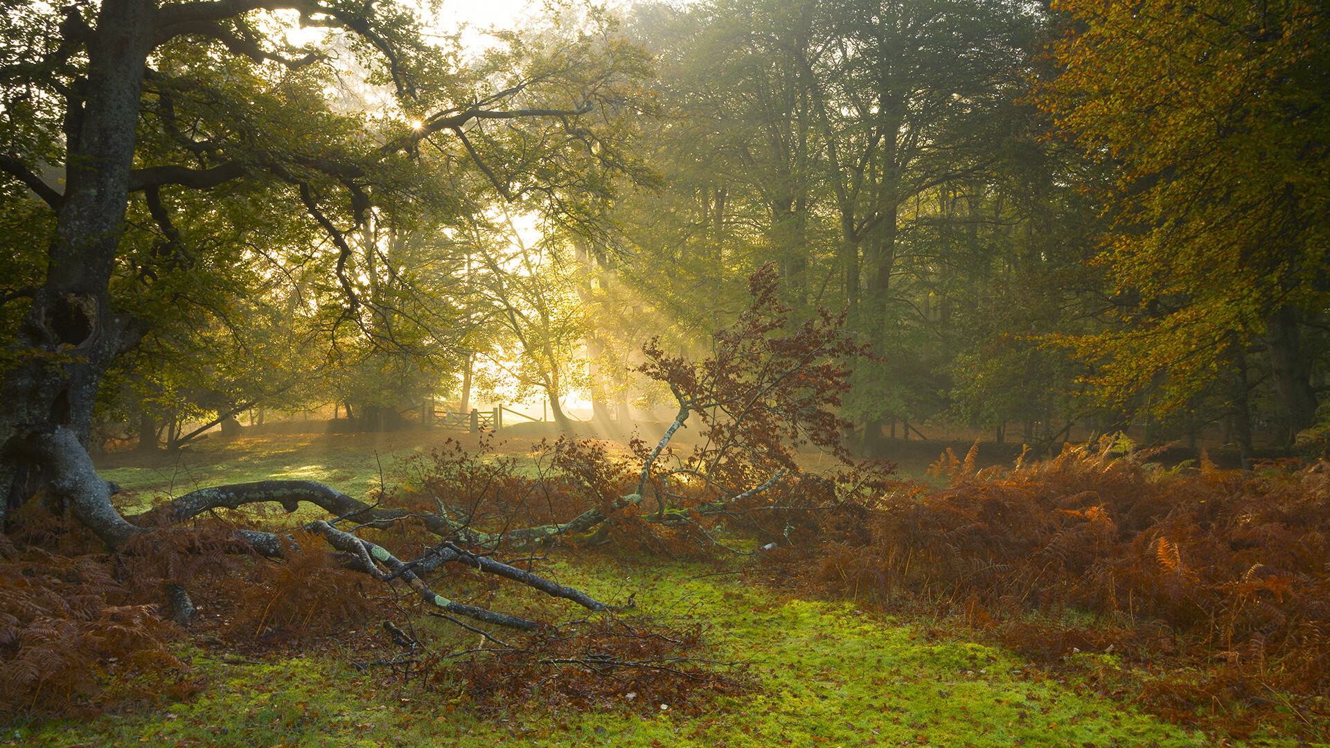 九游下载安装-2026世界杯场馆采用可再生能源，绿色环保理念凸显，世界杯申办2026