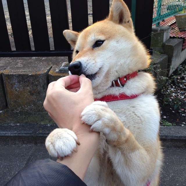 Jiuyou-热火全队积极跑动展现团队协作能力,团队跑步活动策划方案