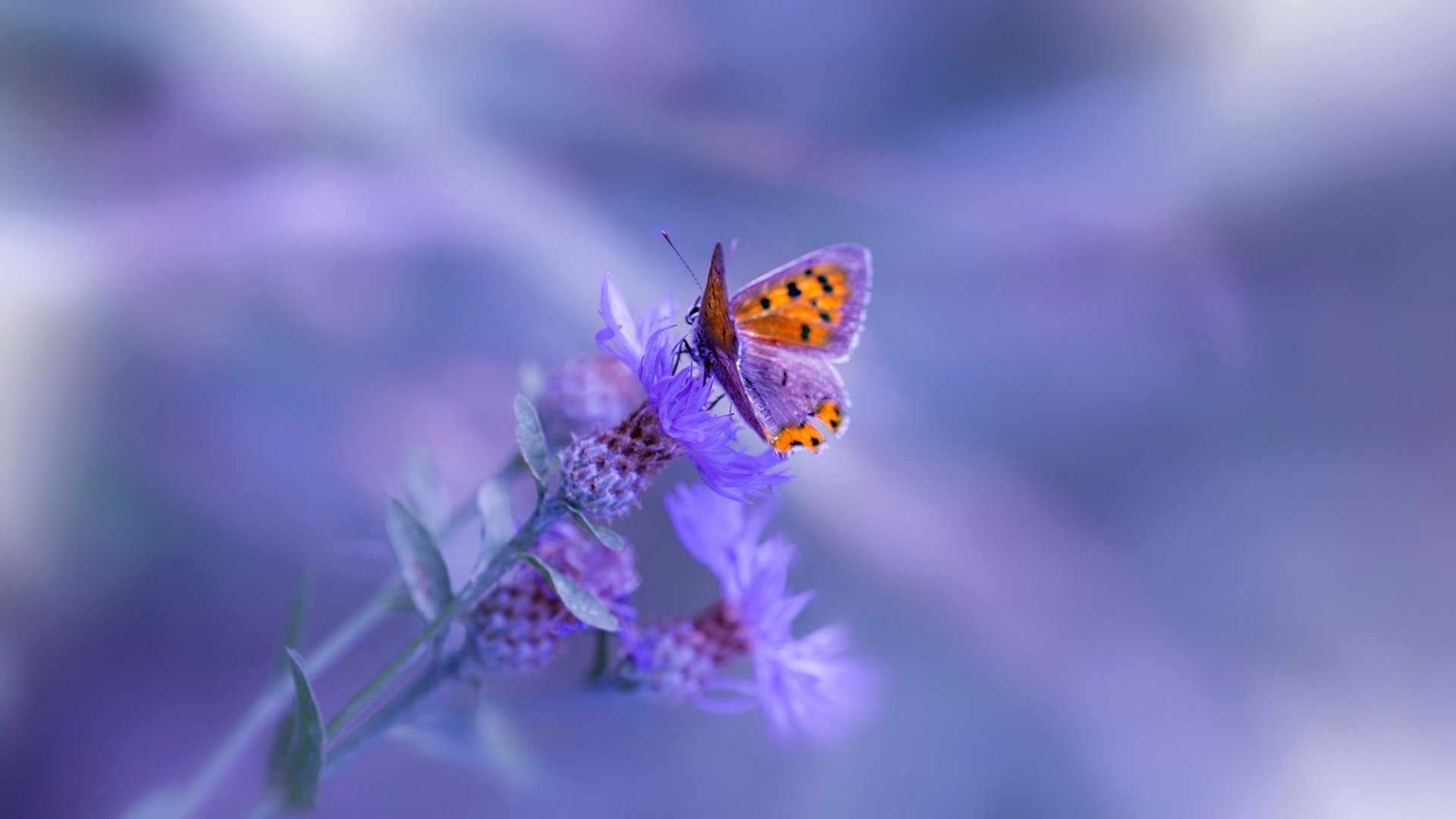 Jiuyou-热火全队积极跑动展现团队协作能力,团队跑步活动策划方案