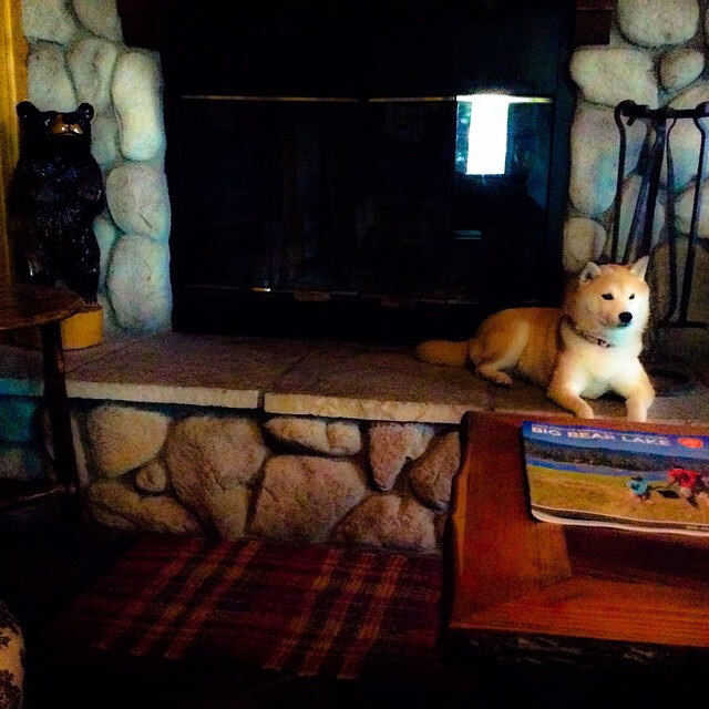 九游娱乐官网 (jiuyou)-科特迪瓦男篮在非洲锦标赛中持续升温,体育水平不断提升,科特迪瓦男足